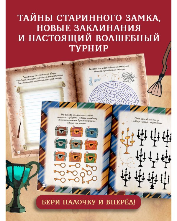 Школа чародейства и волшебства. Книга тайных лабиринтов и квестов