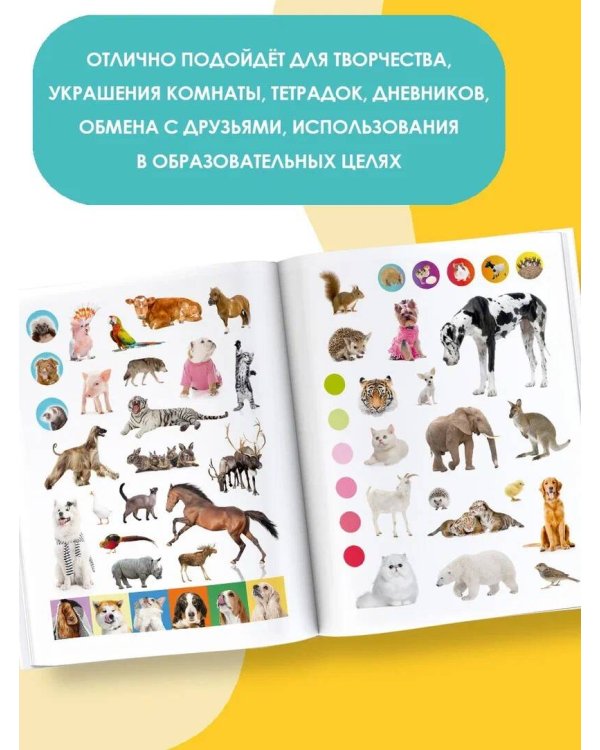 Очаровательные пушистики