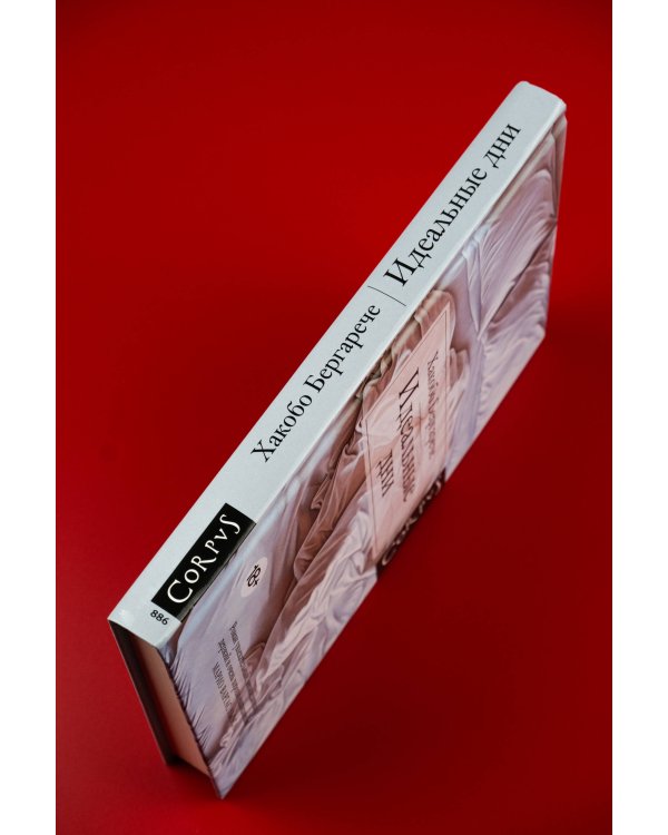 Идеальные дни