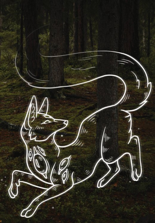 В точку. Блокноты для планирования и творчества Блокнот в точку. Rumie Nordur (А5, 64 л.)