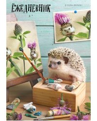 Ёжедневник. Блокнот для людей и ежей (художник) (А5, 72 л.)