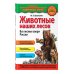 Популярная научно-практическая энциклопедия современных знаний Животные наших лесов. Все лесные звери России