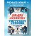 Большая энциклопедия фигурного катания. Вся грация льда. От первых соревнований до звезд XXI века