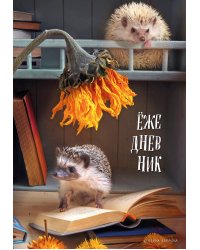 Ёжедневник. Блокнот для людей и ежей (книги) (А5, 72 л.)