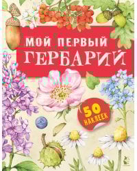 Мой первый гербарий