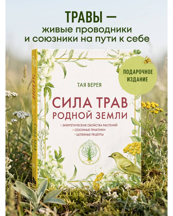 Дополнительное изображение книги «Сила трав родной земли. Энергетические свойства растений, сезонные практики и целебные рецепты»