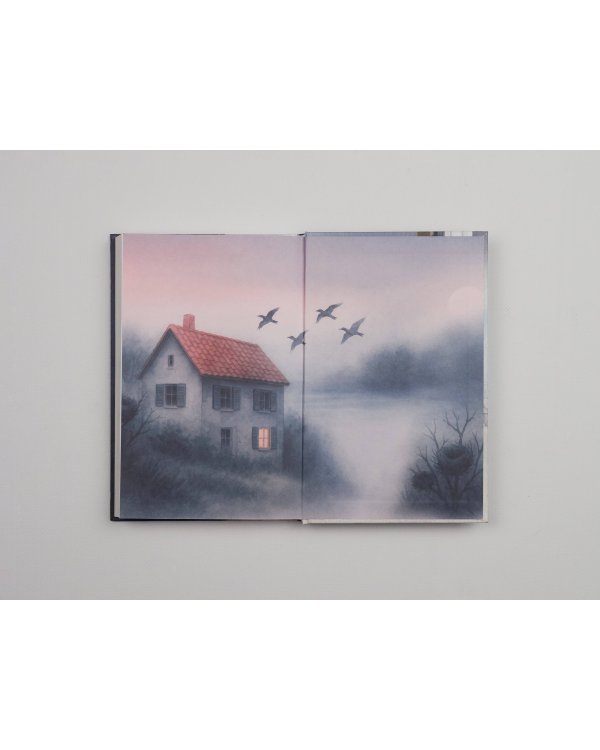 Дом на птичьем острове. Книга первая: Рожденная быть второй