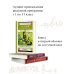 Конек-Горбунок. Сказки русских писателей для детей