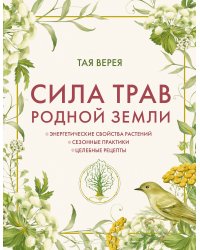 Сила трав родной земли. Энергетические свойства растений, сезонные практики и целебные рецепты