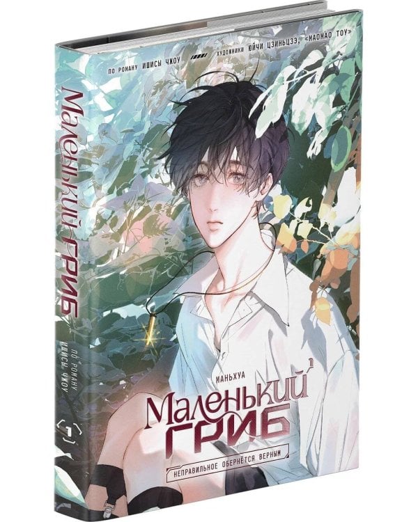 Маленький гриб. Маньхуа. Том 1