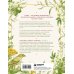 Дополнительное изображение книги «Сила трав родной земли. Энергетические свойства растений, сезонные практики и целебные рецепты»