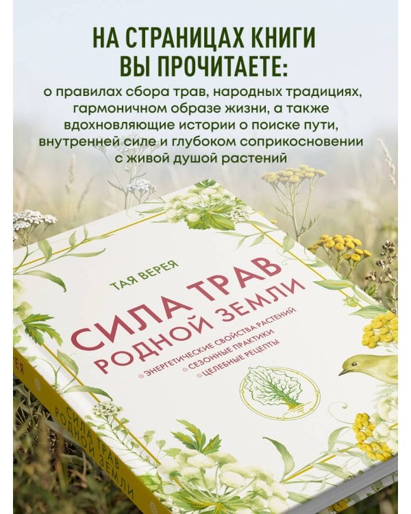 Дополнительное изображение книги «Сила трав родной земли. Энергетические свойства растений, сезонные практики и целебные рецепты»