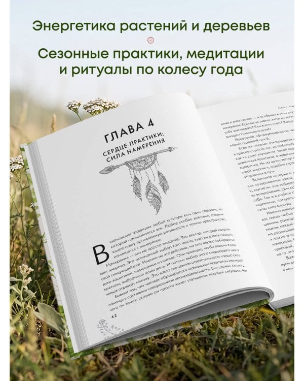 Дополнительное изображение книги «Сила трав родной земли. Энергетические свойства растений, сезонные практики и целебные рецепты»
