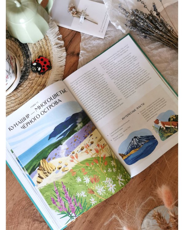 Острова России