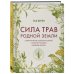 Дополнительное изображение книги «Сила трав родной земли. Энергетические свойства растений, сезонные практики и целебные рецепты»