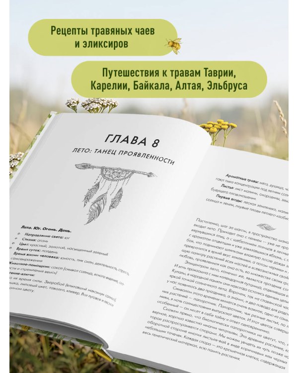 Дополнительное изображение книги «Сила трав родной земли. Энергетические свойства растений, сезонные практики и целебные рецепты»