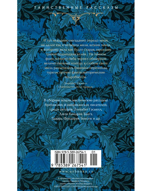 Наблюдатель у порога