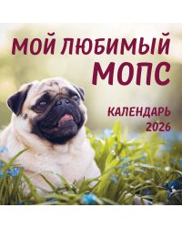 Мой любимый мопс. Календарь настенный на 2026 год (300х300 мм)