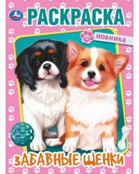 Забавные щенки. Раскраска. 214х290  мм. Скрепка. 16 стр. Умка в кор.50шт