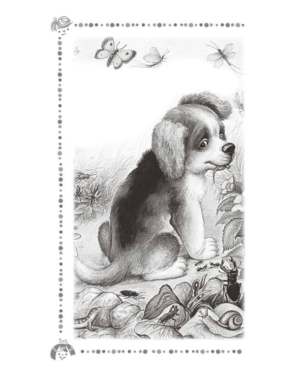 Чижик-Пыжик. Рассказы и сказки