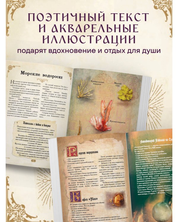 Травология Средневековья. Чудодейственные растения, древние рецепты и непостижимые тайны трав