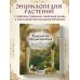 Травология Средневековья. Чудодейственные растения, древние рецепты и непостижимые тайны трав