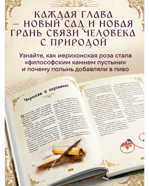 Травология Средневековья. Чудодейственные растения, древние рецепты и непостижимые тайны трав