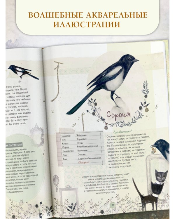 Лучший определитель птиц, насекомых, деревьев от Миранды