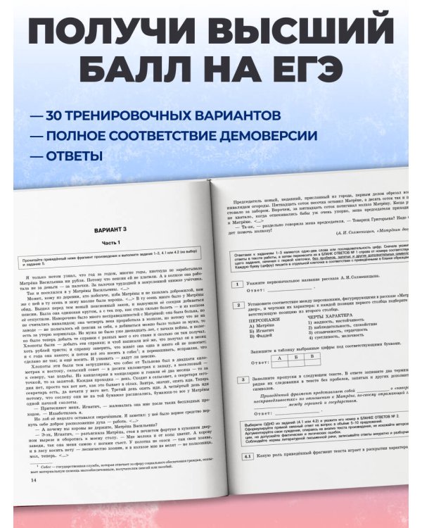 ЕГЭ-2027. Литература. Тренировочные варианты. 30 вариантов