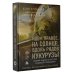 Идем правее, на солнце, вдоль рядов кукурузы. История чудесного спасения глазами бортпроводника