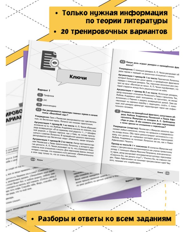 ЕГЭ. Литература