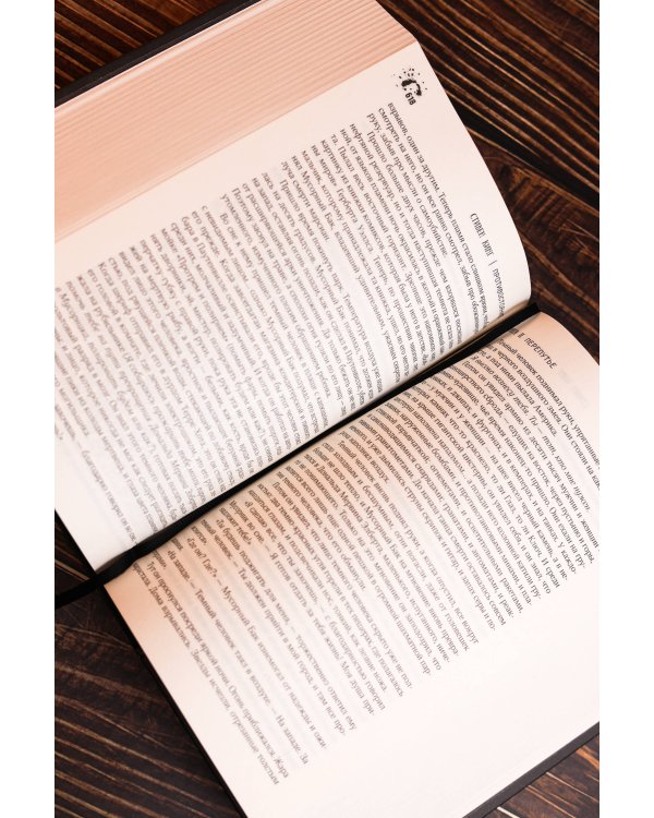 Дополнительное изображение книги «Противостояние»