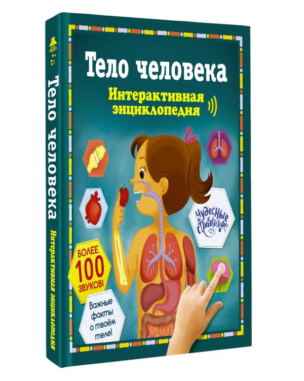Дополнительное изображение книги «Тело человека. Интерактивная энциклопедия»