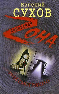 Обложка книги «Гнев смотрящего: роман» — Сухов Евгений, ISBN 9785699348459