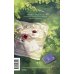 Чувство и чувствительность. Вечные истории. Young Adult