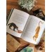 Книга приключений. Классические рассказы о Гулливере, Робинзоне Крузо и других героях