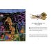 Книга приключений. Классические рассказы о Гулливере, Робинзоне Крузо и других героях