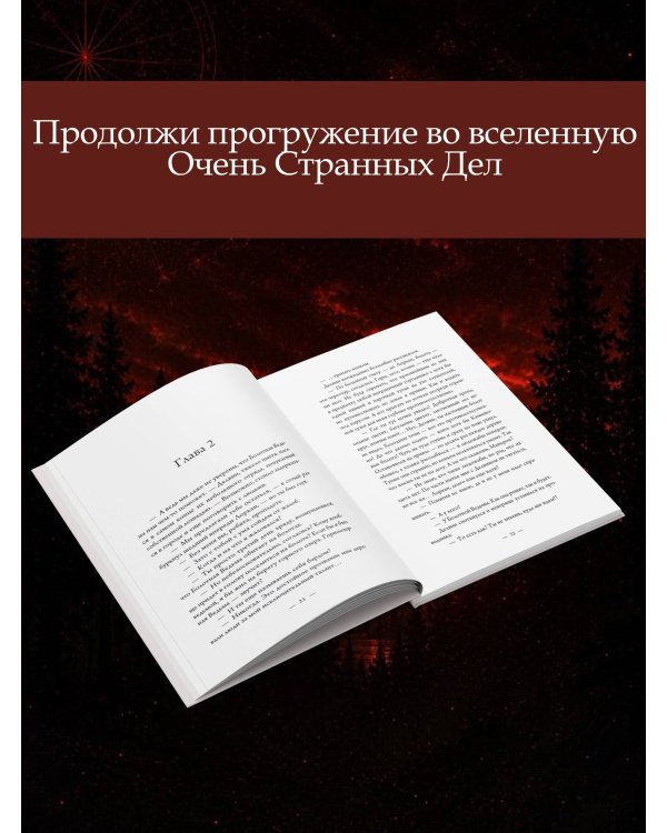 Дополнительное изображение книги «Приключения на Изнанке: исчезновение волшебника»