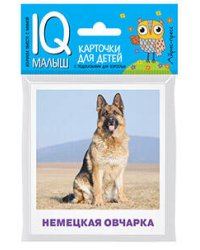 Умный малыш. Породы собак Набор карточек для детей.
