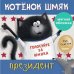 Кк. Книжки-картинки (мягкая обложка). Котенок Шмяк - президент/Скоттон Р.