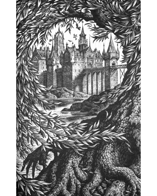 Harry Potter and the Chamber of Secrets (J.K. Rowling) Гарри Поттер и тайная комната (Джоан Роулинг) / Книги на английском языке