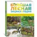 Большая лесная энциклопедия. Знакомимся с природой России Большая лесная энциклопедия. Знакомимся с природой России