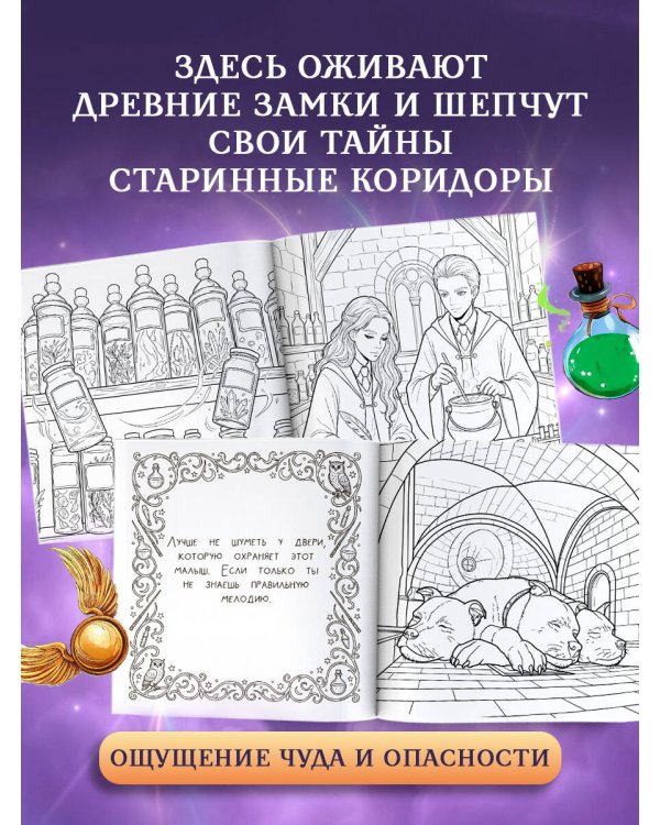 Школа чародейства и волшебства. Раскраска