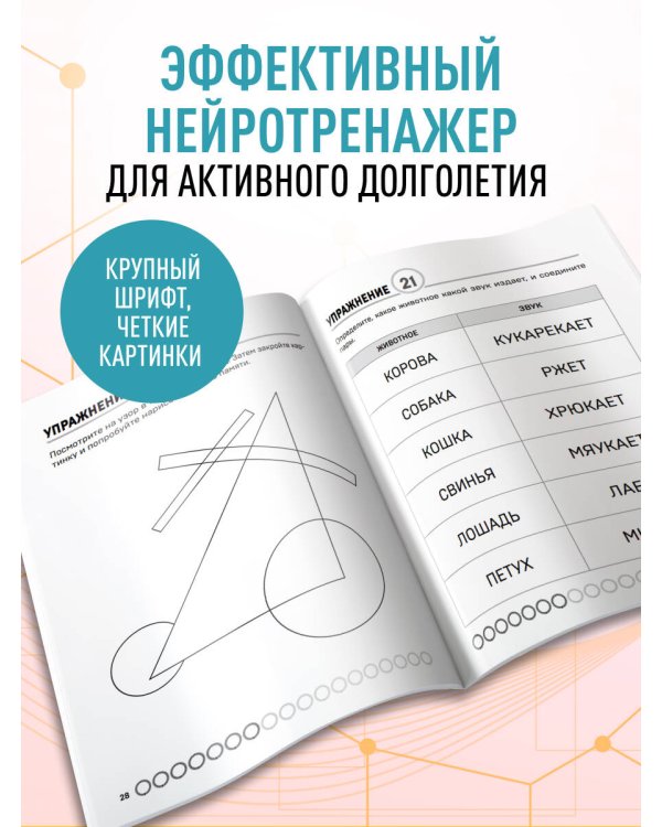 Мозг в тонусе. Головоломки и упражнения для памяти и внимания
