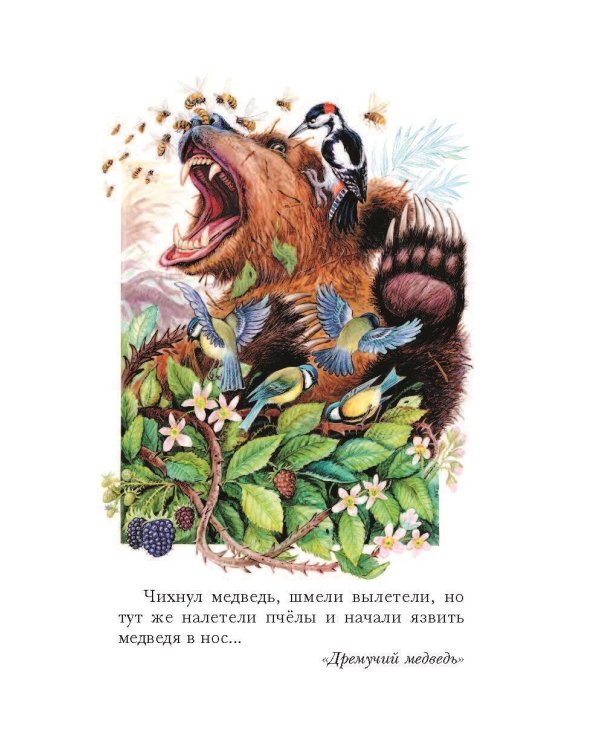 Тёплый хлеб. Сказки и рассказы