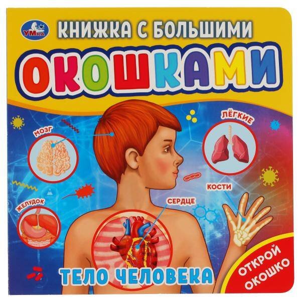 Тело человека (книжка с большими окошками) 190х190мм 10стр Умка в кор.38шт
