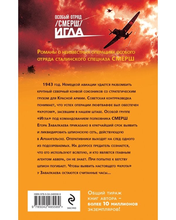 Дополнительное изображение книги «Ледяной шифр»