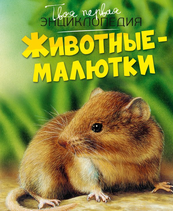 Обложка книги «Животные-малютки» — Бомон Эмили;Дельфур Жюли, ISBN 9785389275171
