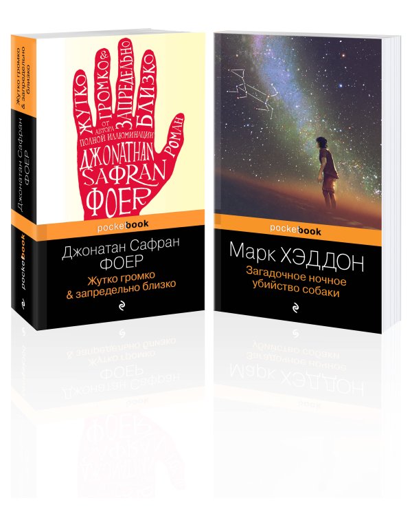 Истории двух необычных мальчишек. Романы, оставляющие след (комплект из 2-х книг: Дж. Фоер "Жутко громко и запредельно близко" и М. Хэддон "Загадочное ночное убийство собаки")