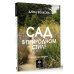 Сад в природном стиле. Нетронутая красота